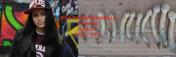 mix Вяземский