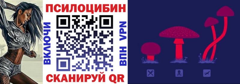 Псилоцибиновые грибы Magic Shrooms Купить закладки Лабинск