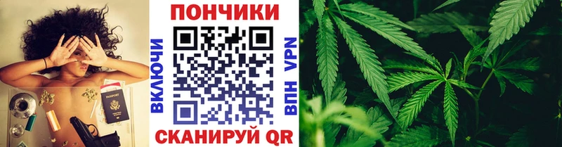 Купить  Лабинск  Канабис индика 